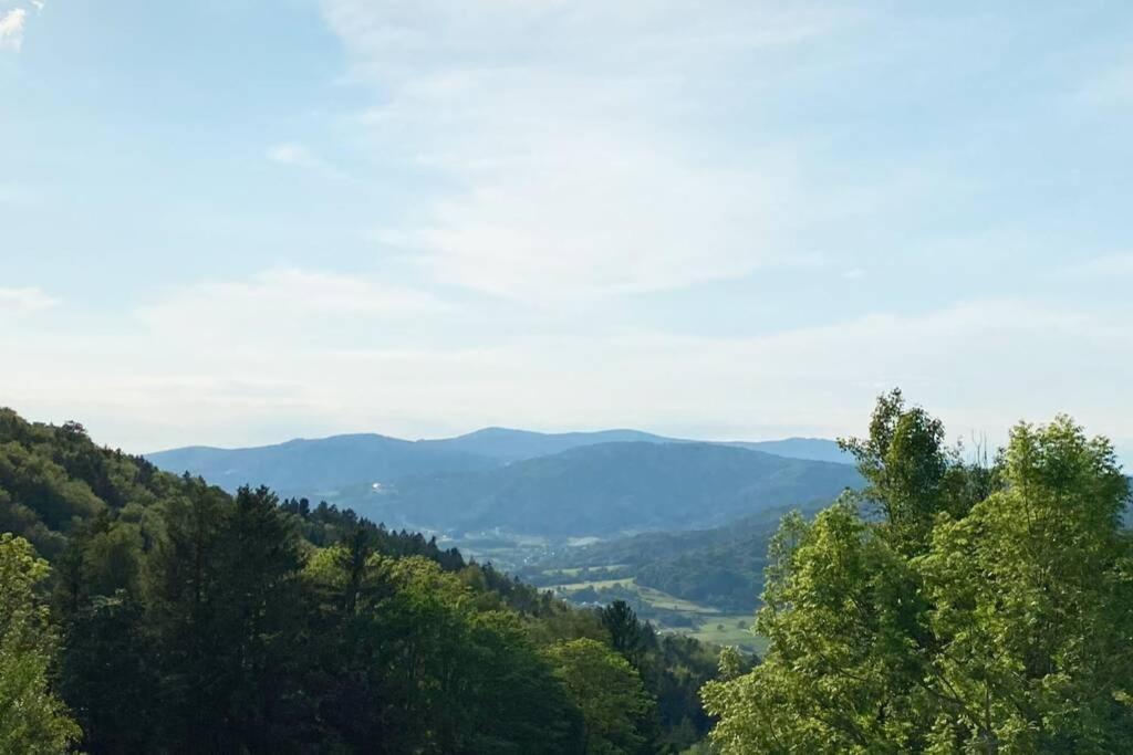 Mitten Im Bayerischen Wald + Schonblick + Urig + Netflix Schofweg Ngoại thất bức ảnh
